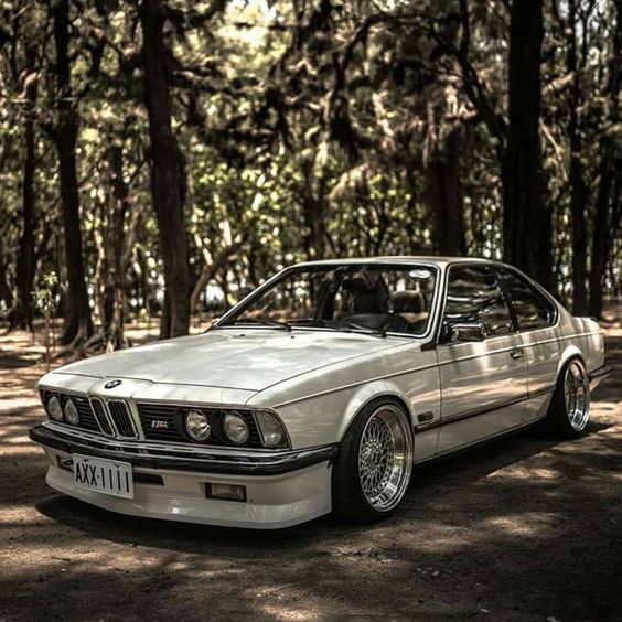 f1e9b2a9182e8b54b8d968f6e2767227.jpg