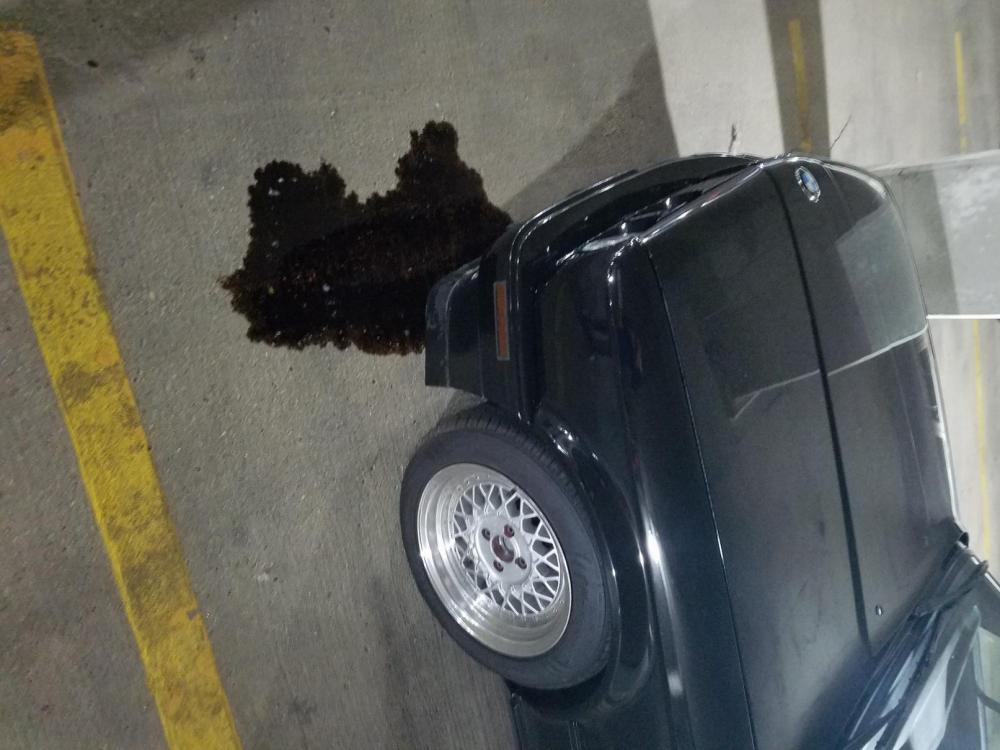 oil pan.jpg