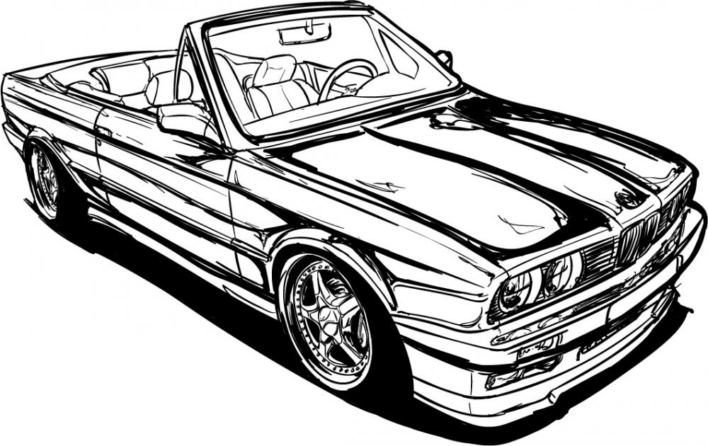 Vector30.jpg