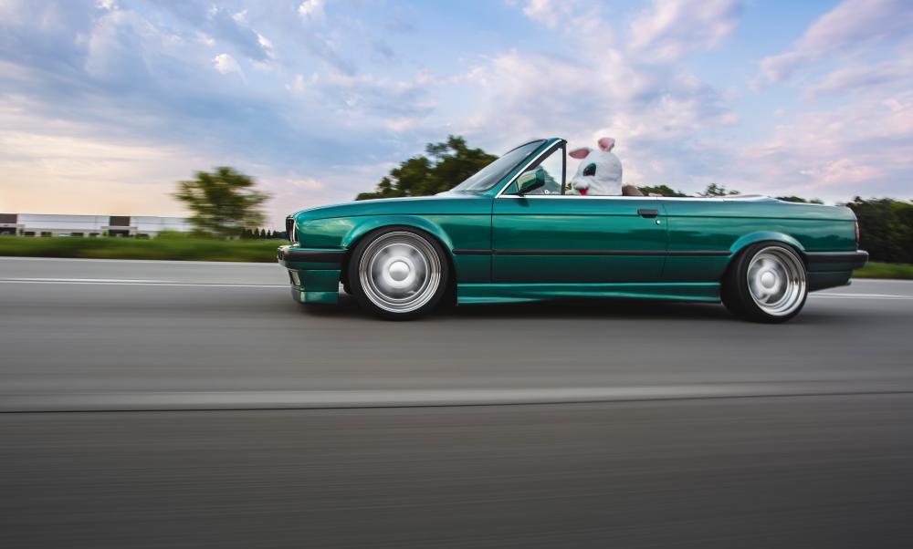 RocketBunny2.jpg