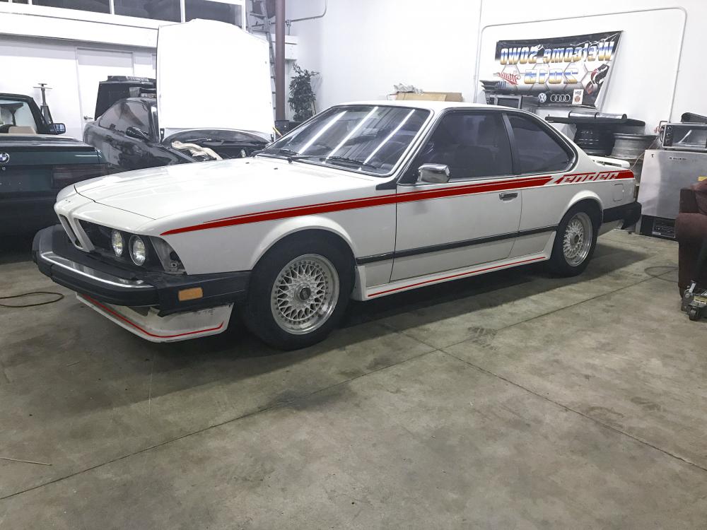 Zender stripe.jpg