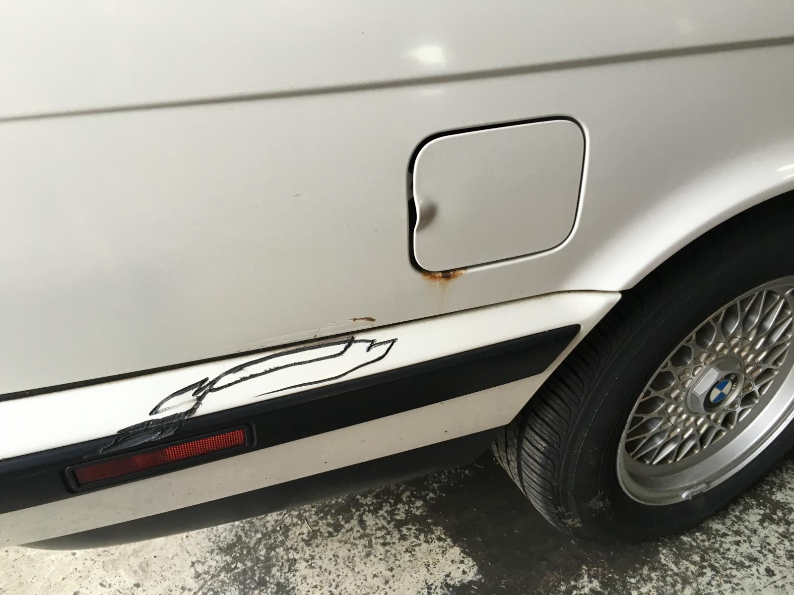 large.IMG1465.jpg