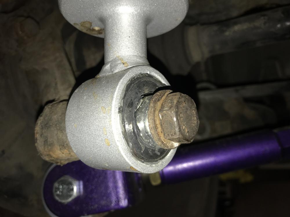 IMG7148.JPG