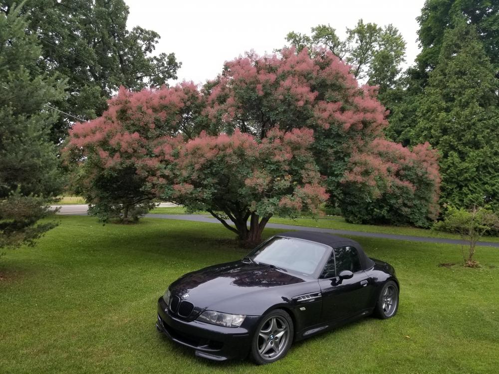 20180620200025.jpg