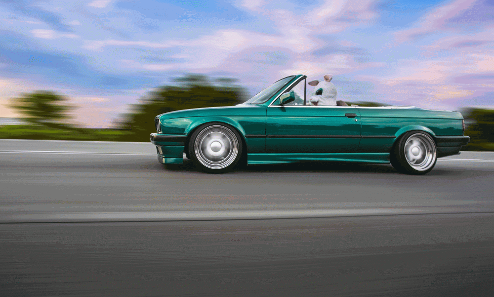 RocketBunny.gif
