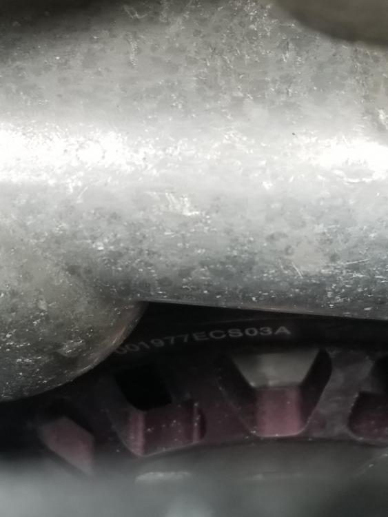20190309110608.thumb.jpg.bf6a165946d289321daca5bf03d57ecc.jpg