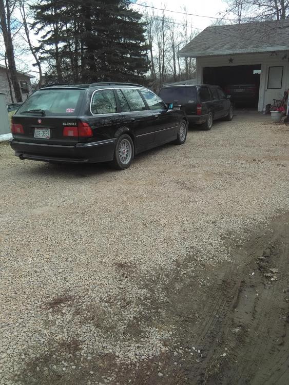 IMG20190331124640.jpg