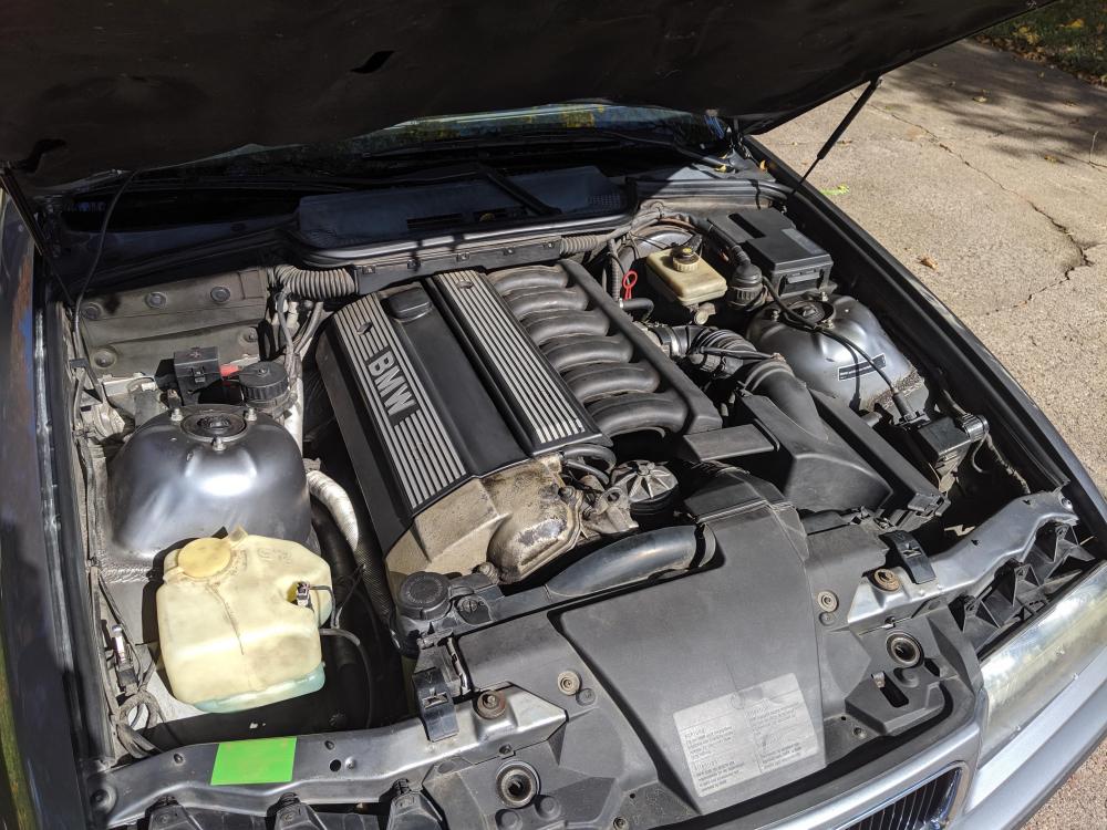 IMG20191014114424.jpg
