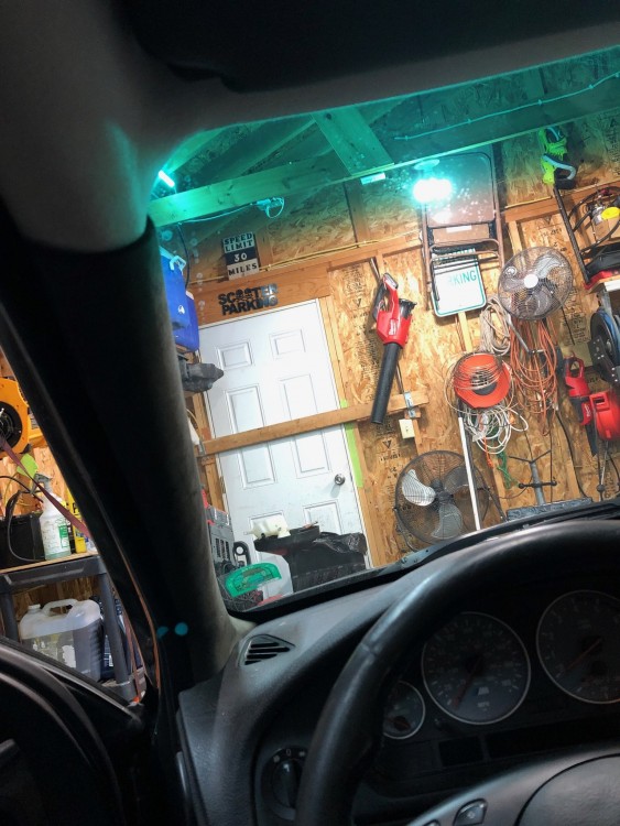 602555691.jpg
