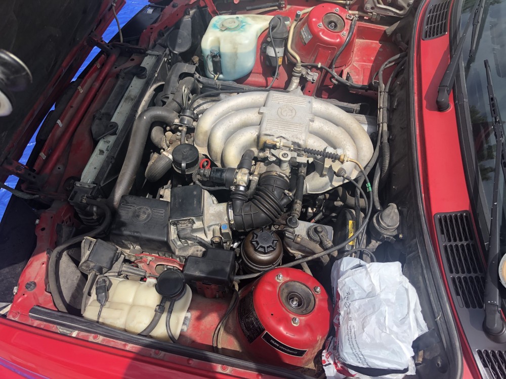 7C94742E-D510-4177-91E0-E2B15B6351FC.jpeg