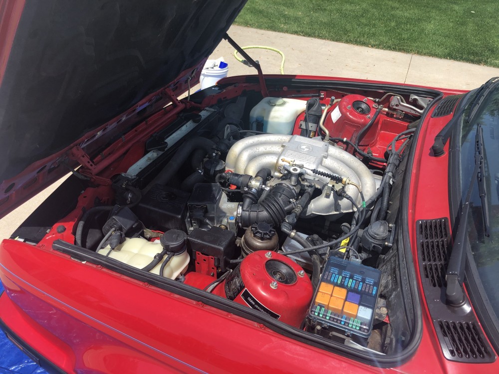 C64644FB-B46F-4C9A-9213-46677858E233.jpeg