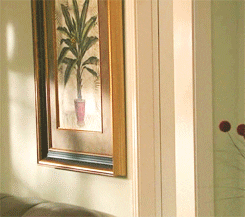 C59ADDBD-6B65-4A61-BD6F-0570E90214F9.gif.a0e01a9f13cc3c41777f90e3ecd52923.gif