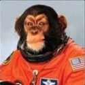 ASTROCHIMP