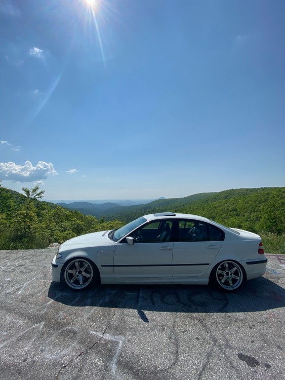 IMG4412.jpeg