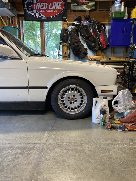 3157BB7C-10D3-4552-8222-2CBDDE73BCDC.jpeg