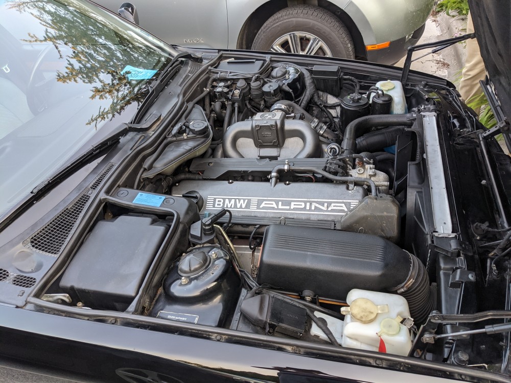PXL20210718004615296.MP.jpg