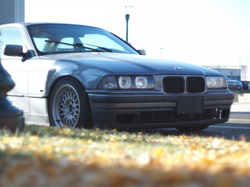 PB230048size.jpg