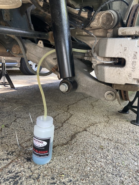 IMG6784.jpeg