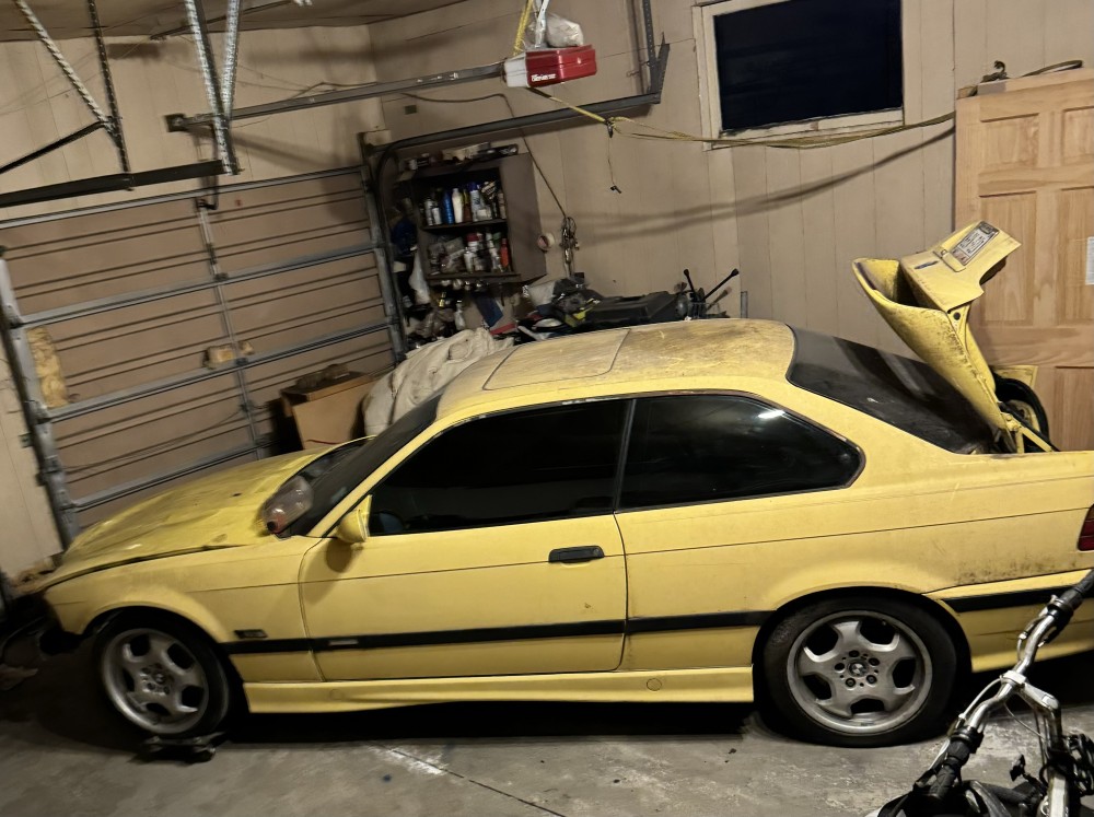 IMG0485.jpeg