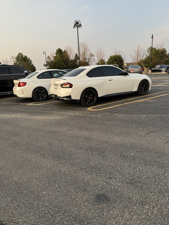 IMG1158.jpeg
