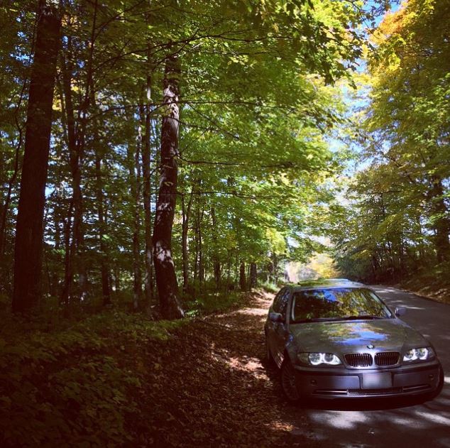 taylorm_e46